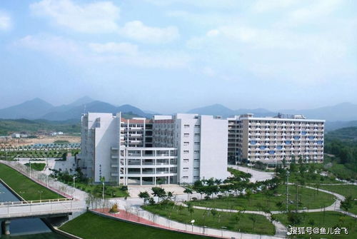 幸好没报 这五所大学被教育部 撤销 ,停止招生 姚明 刘翔母校在列