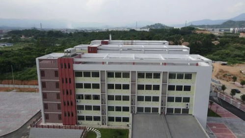 漳州市区这里4所中小学投用 有1所一中分校 新增1820个学位