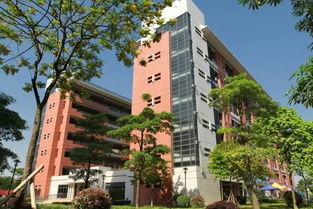 中山大学新华学院音乐学专业招生啦 不容错过