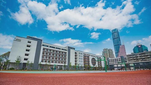 以研促教 课改求索不止 深圳市罗湖高级中学混合式自主学习研讨课进行时