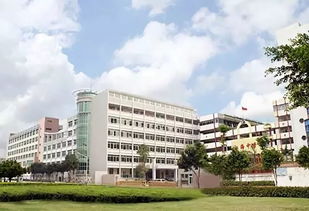 广东省美术生必看 看完你就知道怎么联考了