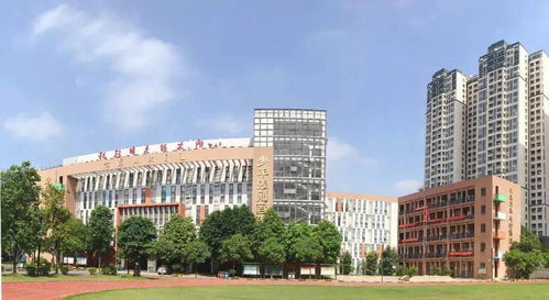 广州多校发布2020年大事记