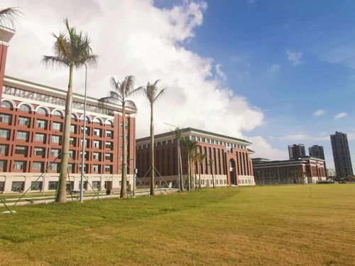 北方人的置业新选择 为何弃三亚而选广东这三城，漳州市中山学校成亮点